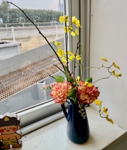 20260129IMG_4955 (2).jpg